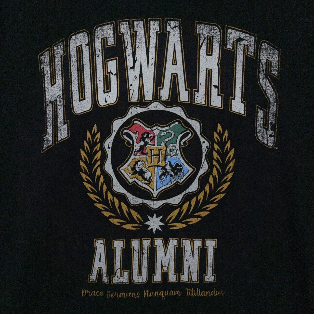 Harry Potter Hogwarts Alumni T-Shirt Black – photo 3